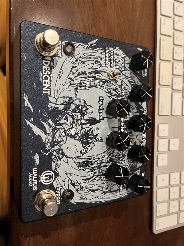 WALRUS AUDIO DESCENTの画像